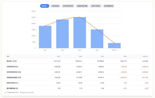 中創股份上市前后業績大反轉 高增長神話難持續，應用軟件服務行業隱憂何解？