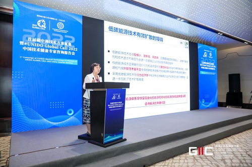 2022首屆碳中和技術方案征集暨UNIDO Global Call中國技術儲備專家咨詢報告會在烏鎮舉行